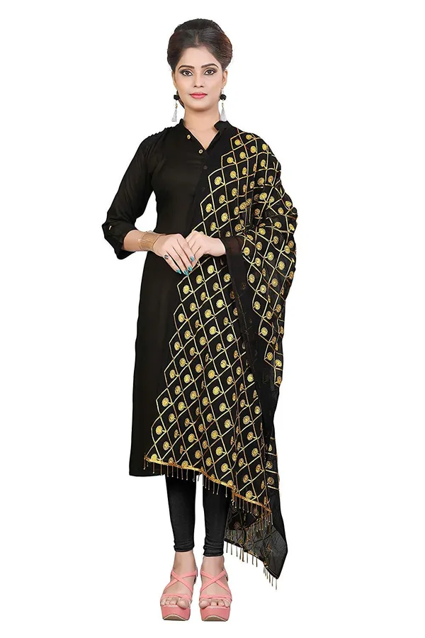 Miss_India_Women_Chiffon_Dupatta_With_Karachi_Embroidery_Work_Free_Size_Whitejari