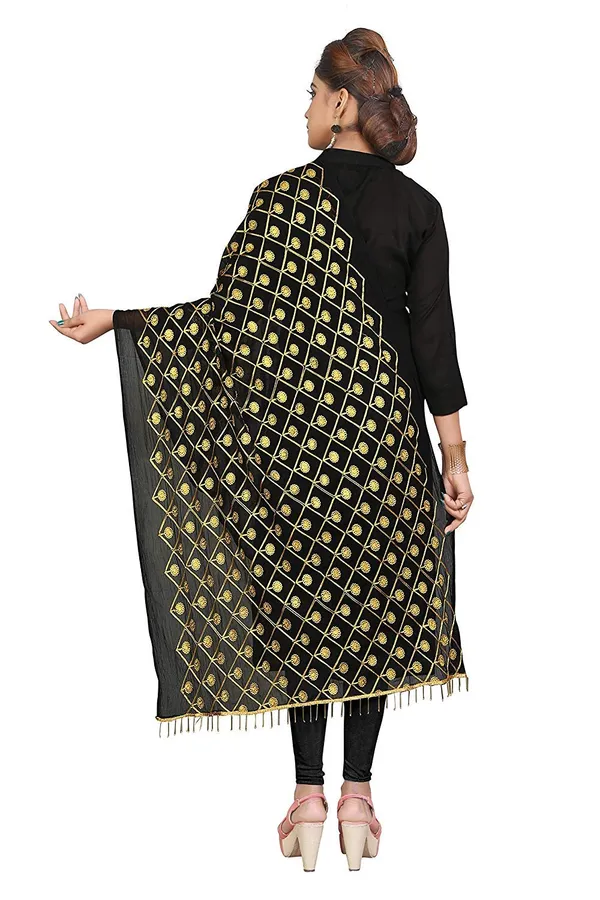 Miss_India_Women_Chiffon_Dupatta_With_Karachi_Embroidery_Work_Free_Size_Whitejari