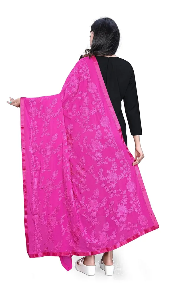 Product_Summary_Akshar_Llc_Women_Embroidered_Chiffon_Dupatta
