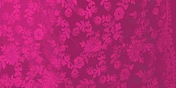 Product_Summary_Akshar_Llc_Women_Embroidered_Chiffon_Dupatta