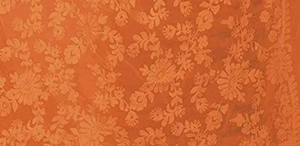 Women_Embroidered_Chiffon_Dupatta