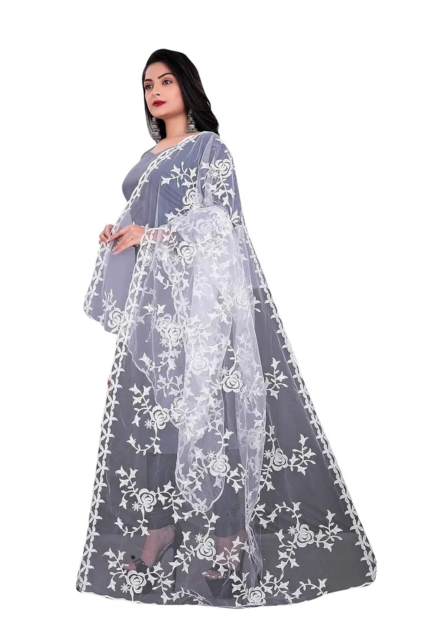 Women_Embroidered_Nylon_Net_Dupatta