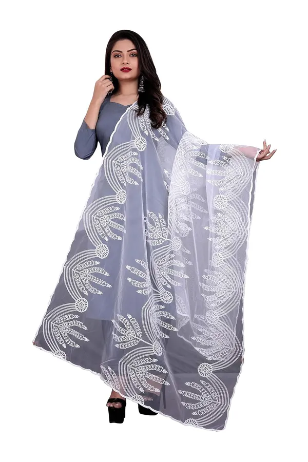 Women_Embroidered_Nylon_Net_Dupatta