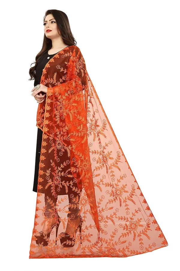 Product_Summary_Akshar_Llc_Women_Designer_Nylon_Net_Embroidered_Dupatta