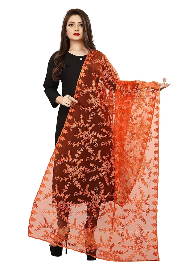 Product_Summary_Akshar_Llc_Women_Designer_Nylon_Net_Embroidered_Dupatta