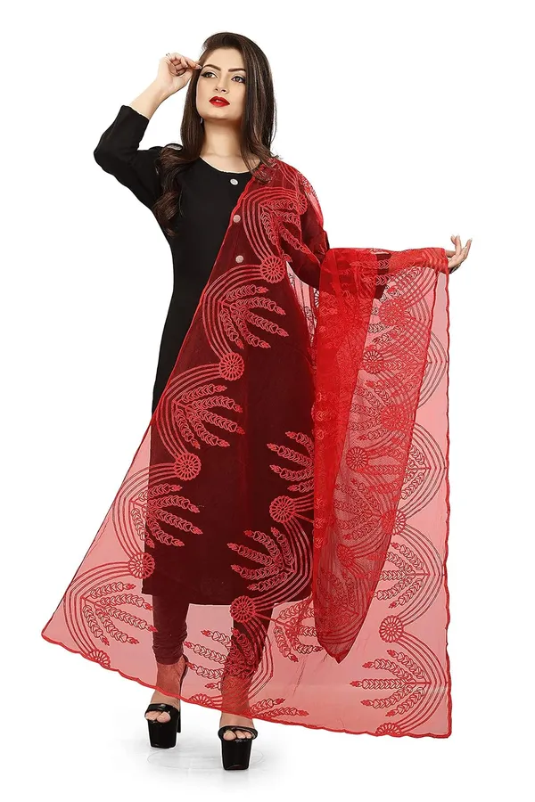 Product_Summary_Akshar_Llc_Women_Designer_Embellished_Net_Dupatta_For_Women_Girl
