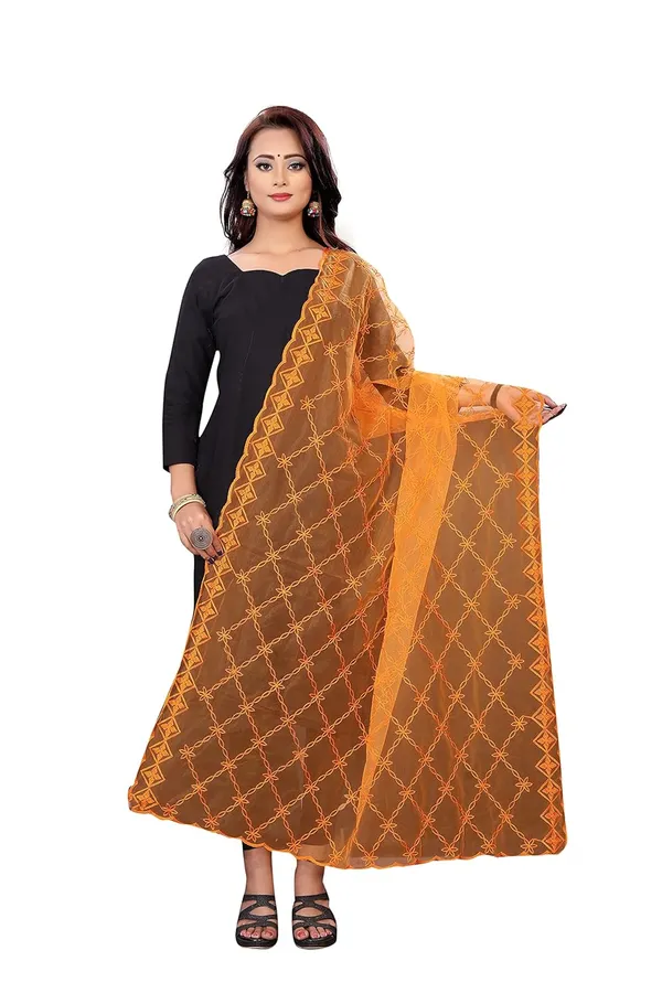 Designer_Women_Nylon_Net_Fancy_Embroidered_Dupatta_For_Women_Girl