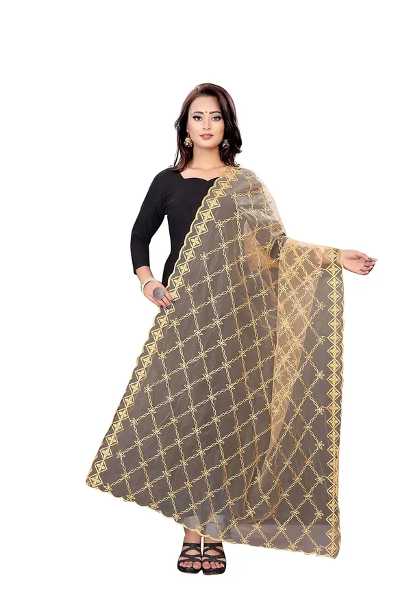 Designer_Women_Nylon_Net_Fancy_Embroidered_Dupatta_For_Women_Girl