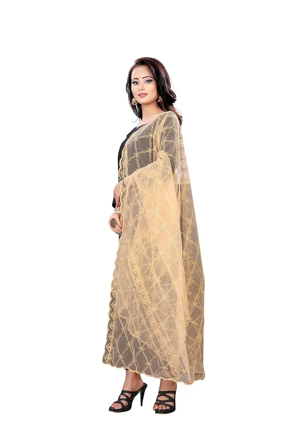 Designer_Women_Nylon_Net_Fancy_Embroidered_Dupatta_For_Women_Girl