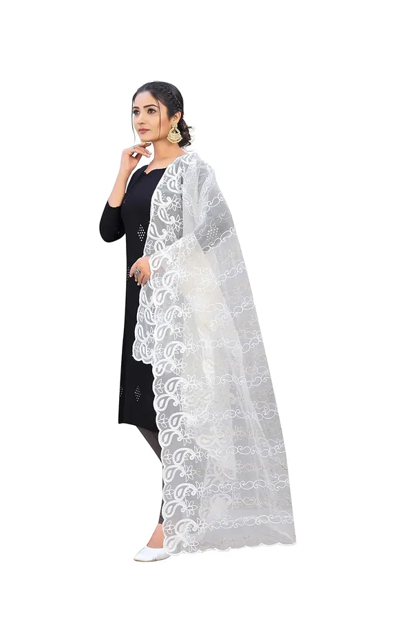 Designer_Women_Nylon_Net_Fancy_Embroidered_Dupatta_For_Women_Girl