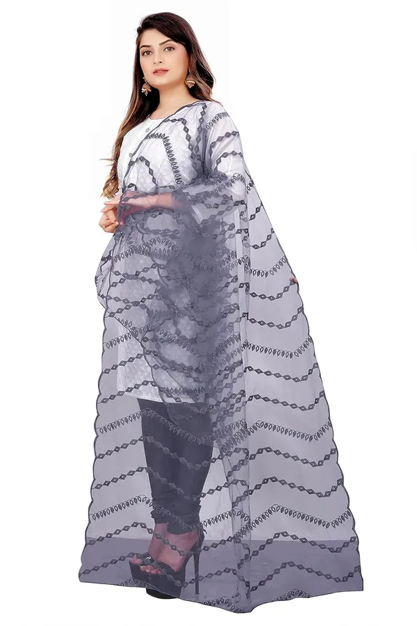 Product_Summary_Akshar_Llc_Designer_Women_Nylon_Net_Fancy_Embroidered_Dupatta_For_Women_Girl