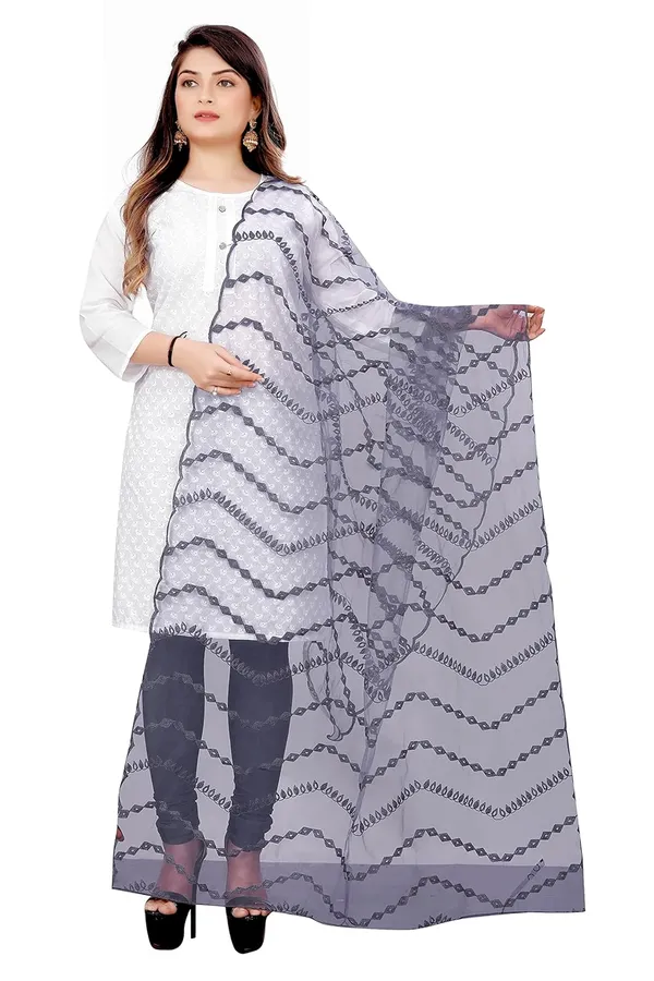 Product_Summary_Akshar_Llc_Designer_Women_Nylon_Net_Fancy_Embroidered_Dupatta_For_Women_Girl