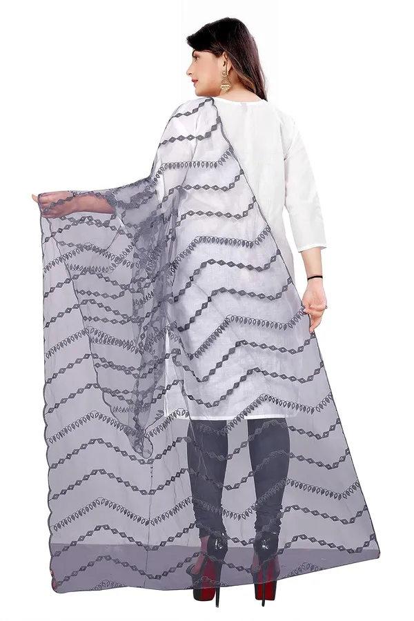 Product_Summary_Akshar_Llc_Designer_Women_Nylon_Net_Fancy_Embroidered_Dupatta_For_Women_Girl