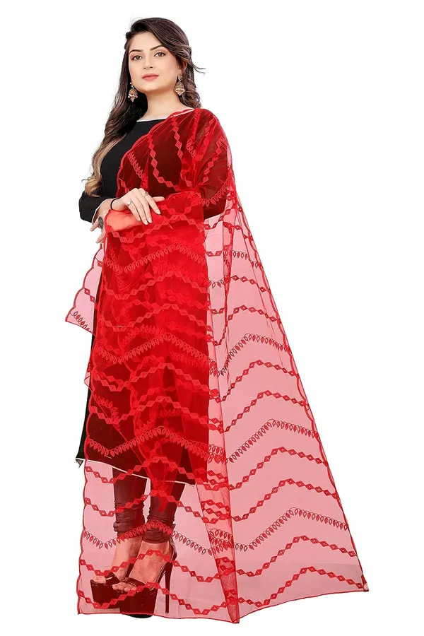 Designer_Women_Nylon_Net_Fancy_Embroidered_Dupatta_For_Women_Girl