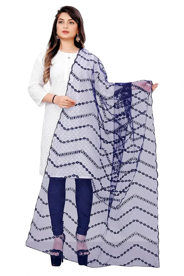 Product_Summary_Akshar_Llc_Designer_Women_Nylon_Net_Fancy_Embroidered_Dupatta_For_Women_Girl