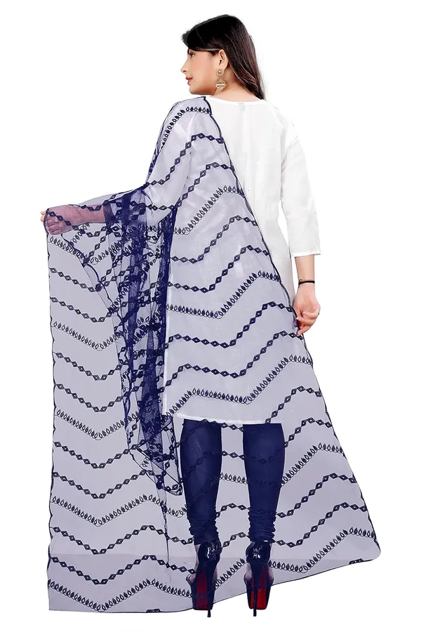 Product_Summary_Akshar_Llc_Designer_Women_Nylon_Net_Fancy_Embroidered_Dupatta_For_Women_Girl