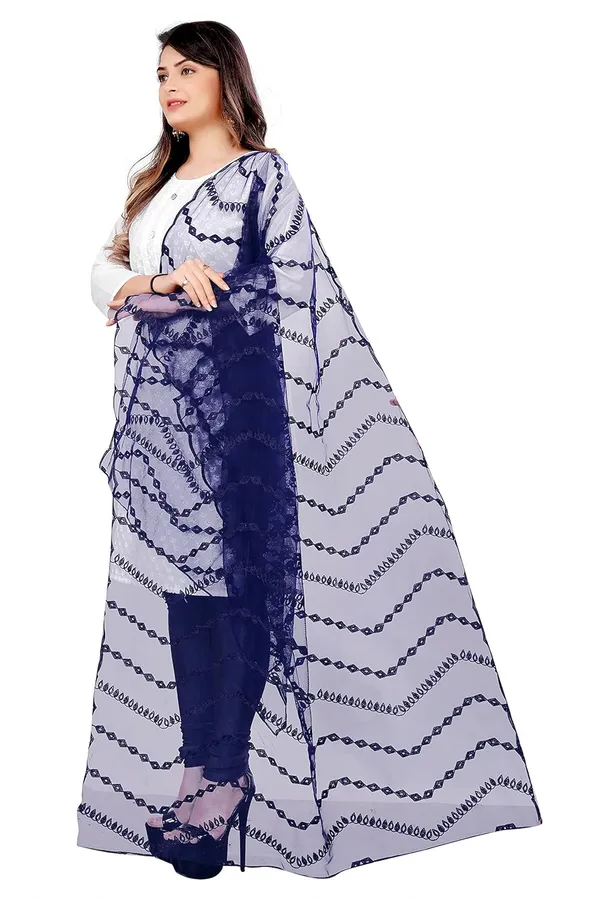 Product_Summary_Akshar_Llc_Designer_Women_Nylon_Net_Fancy_Embroidered_Dupatta_For_Women_Girl