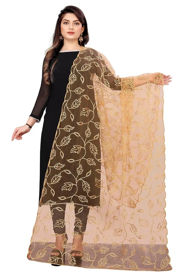 Product_Summary_Akshar_Llc_Designer_Women_Nylon_Net_Fancy_Embroidered_Dupatta_For_Women_Girl