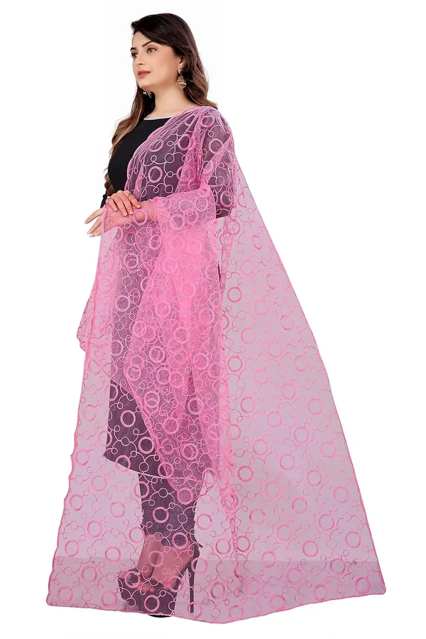 Product_Summary_Akshar_Llc_Designer_Women_Nylon_Net_Fancy_Embroidered_Dupatta_For_Women_Girl