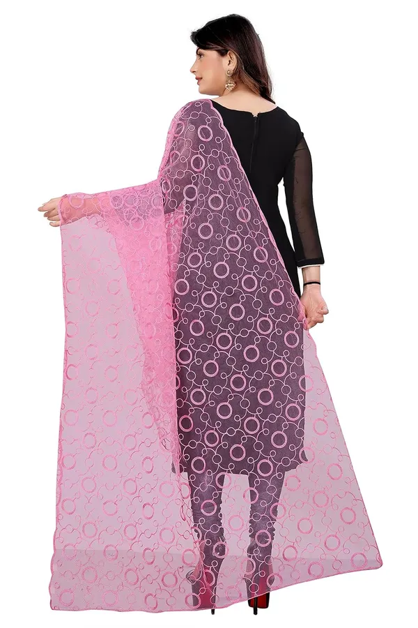 Product_Summary_Akshar_Llc_Designer_Women_Nylon_Net_Fancy_Embroidered_Dupatta_For_Women_Girl