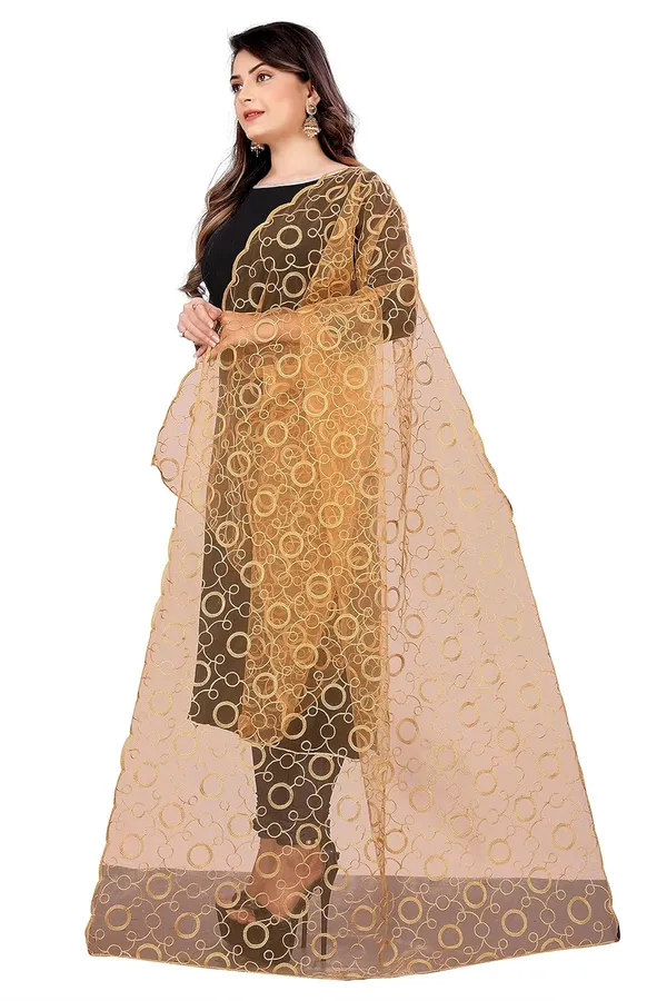Designer_Women_Nylon_Net_Fancy_Embroidered_Dupatta_For_Women_Girl