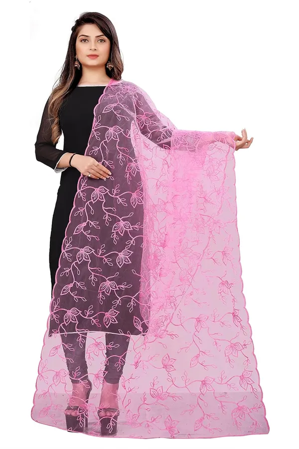 Product_Summary_Akshar_Llc_Designer_Women_Nylon_Net_Fancy_Embroidered_Dupatta_For_Women_Girl