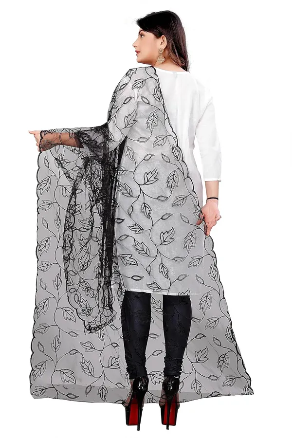 Product_Summary_Akshar_Llc_Designer_Women_Nylon_Net_Fancy_Embroidered_Dupatta_For_Women_Girl