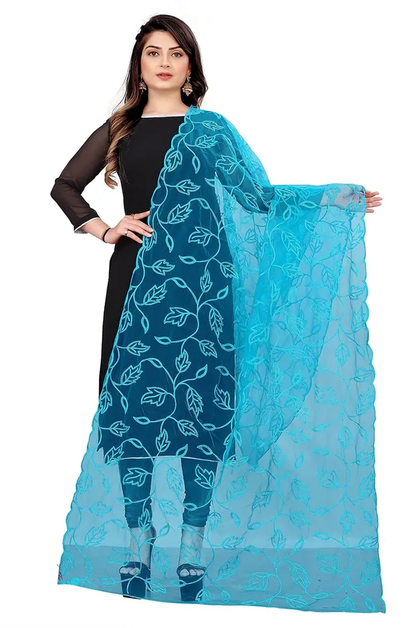 Product_Summary_Akshar_Llc_Designer_Women_Nylon_Net_Fancy_Embroidered_Dupatta_For_Women_Girl