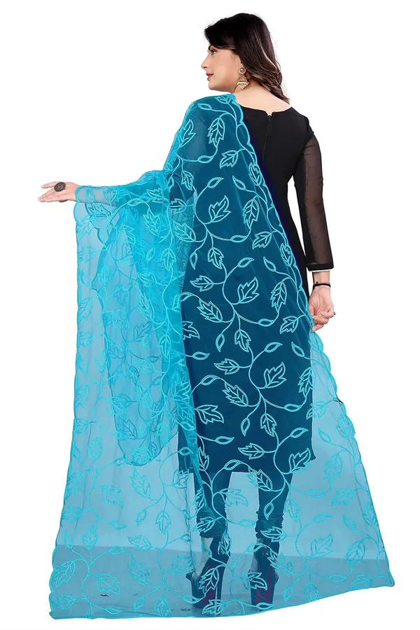 Product_Summary_Akshar_Llc_Designer_Women_Nylon_Net_Fancy_Embroidered_Dupatta_For_Women_Girl