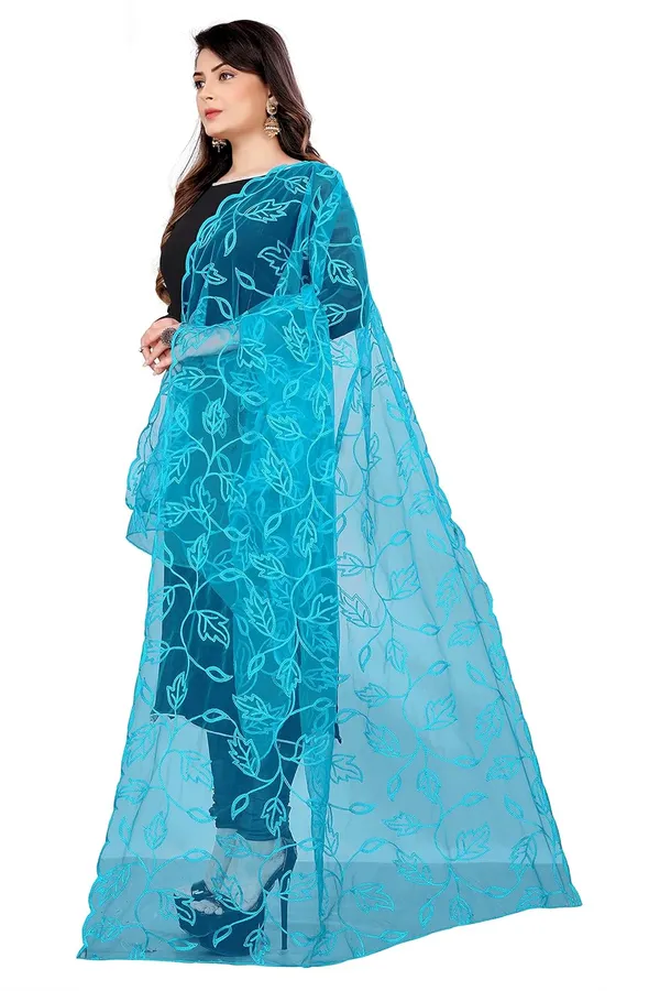 Product_Summary_Akshar_Llc_Designer_Women_Nylon_Net_Fancy_Embroidered_Dupatta_For_Women_Girl