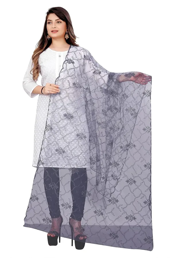 Designer_Women_Nylon_Net_Fancy_Embroidered_Dupatta_For_Women_Girl