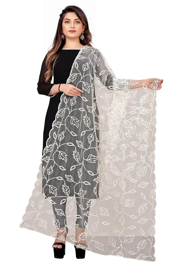Product_Summary_Akshar_Llc_Designer_Women_Nylon_Net_Fancy_Embroidered_Dupatta_For_Women_Girl