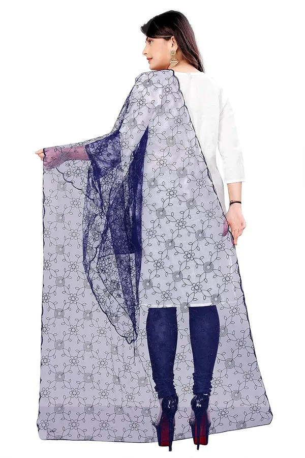 Product_Summary_Akshar_Llc_Designer_Women_Nylon_Net_Fancy_Embroidered_Dupatta_For_Women_Girl
