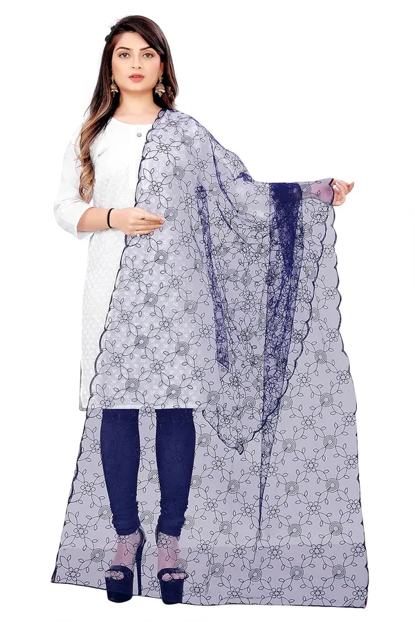 Product_Summary_Akshar_Llc_Designer_Women_Nylon_Net_Fancy_Embroidered_Dupatta_For_Women_Girl