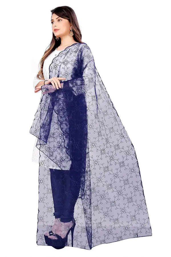 Product_Summary_Akshar_Llc_Designer_Women_Nylon_Net_Fancy_Embroidered_Dupatta_For_Women_Girl