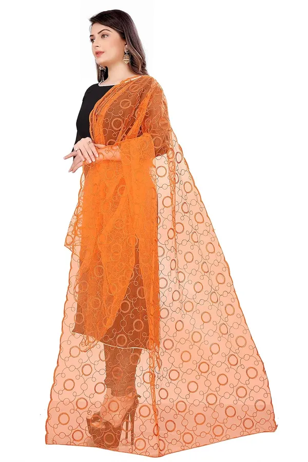 Designer_Women_Nylon_Net_Fancy_Embroidered_Dupatta_For_Women_Girl