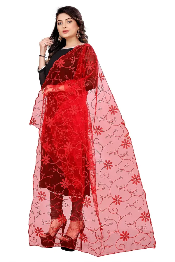 Product_Summary_Akshar_Llc_Designer_Women_Nylon_Net_Fancy_Embroidered_Dupatta_For_Women_Girl