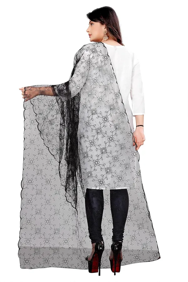 Product_Summary_Akshar_Llc_Designer_Women_Nylon_Net_Fancy_Embroidered_Dupatta_For_Women_Girl