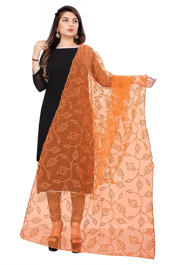 Designer_Women_Nylon_Net_Fancy_Embroidered_Dupatta_For_Women_Girl