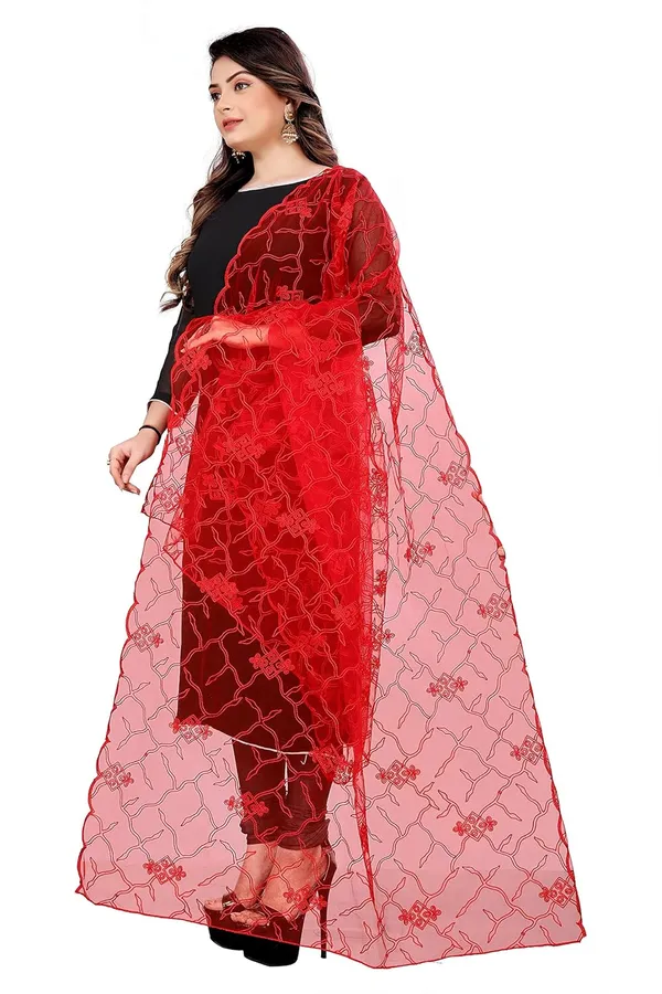 Designer_Women_Nylon_Net_Fancy_Embroidered_Dupatta_For_Women_Girl
