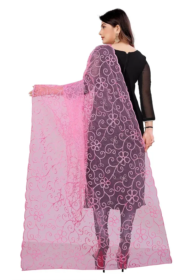 Product_Summary_Akshar_Llc_Designer_Women_Nylon_Net_Fancy_Embroidered_Dupatta_For_Women_Girl