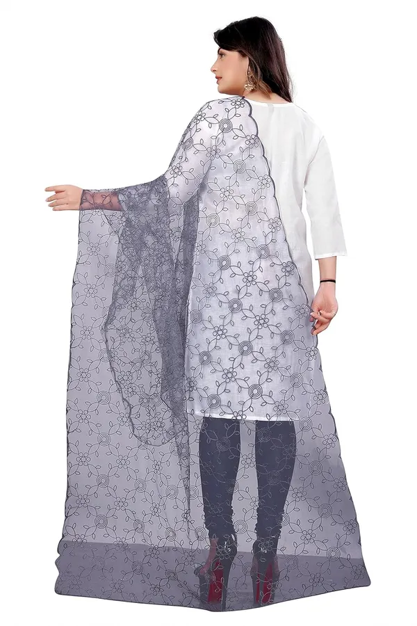 Product_Summary_Akshar_Llc_Designer_Women_Nylon_Net_Fancy_Embroidered_Dupatta_For_Women_Girl