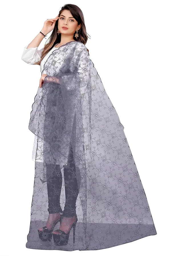 Product_Summary_Akshar_Llc_Designer_Women_Nylon_Net_Fancy_Embroidered_Dupatta_For_Women_Girl