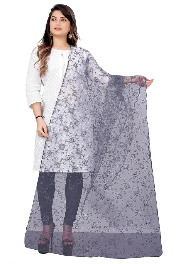 Product_Summary_Akshar_Llc_Designer_Women_Nylon_Net_Fancy_Embroidered_Dupatta_For_Women_Girl