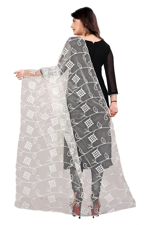 Product_Summary_Akshar_Llc_Designer_Women_Nylon_Net_Fancy_Embroidered_Dupatta_For_Women_Girl