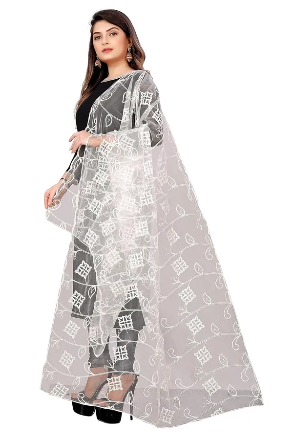 Product_Summary_Akshar_Llc_Designer_Women_Nylon_Net_Fancy_Embroidered_Dupatta_For_Women_Girl