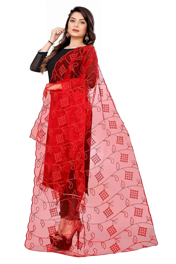 Designer_Women_Nylon_Net_Fancy_Embroidered_Dupatta_For_Women_Girl