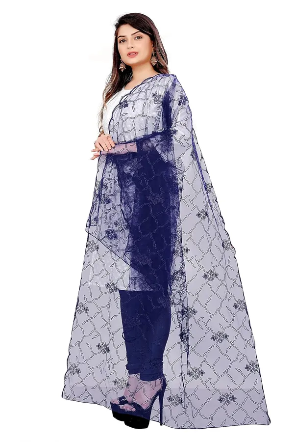 Designer_Women_Nylon_Net_Fancy_Embroidered_Dupatta_For_Women_Girl