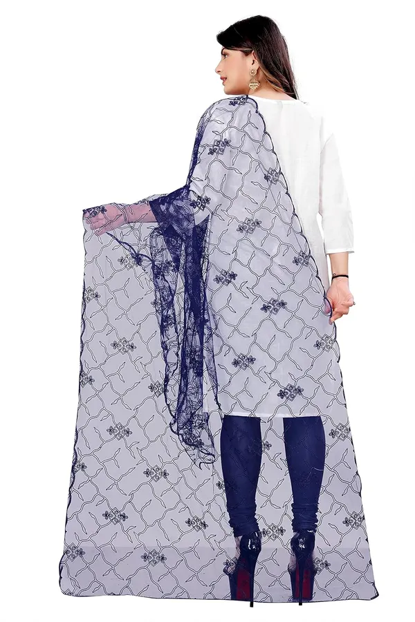 Designer_Women_Nylon_Net_Fancy_Embroidered_Dupatta_For_Women_Girl