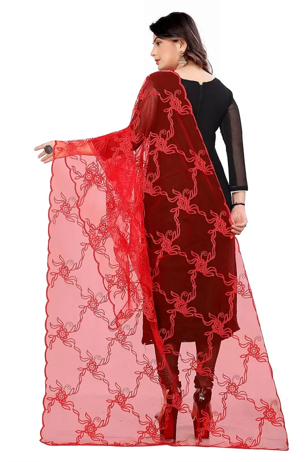 Designer_Women_Nylon_Net_Fancy_Embroidered_Dupatta_For_Women_Girl_2